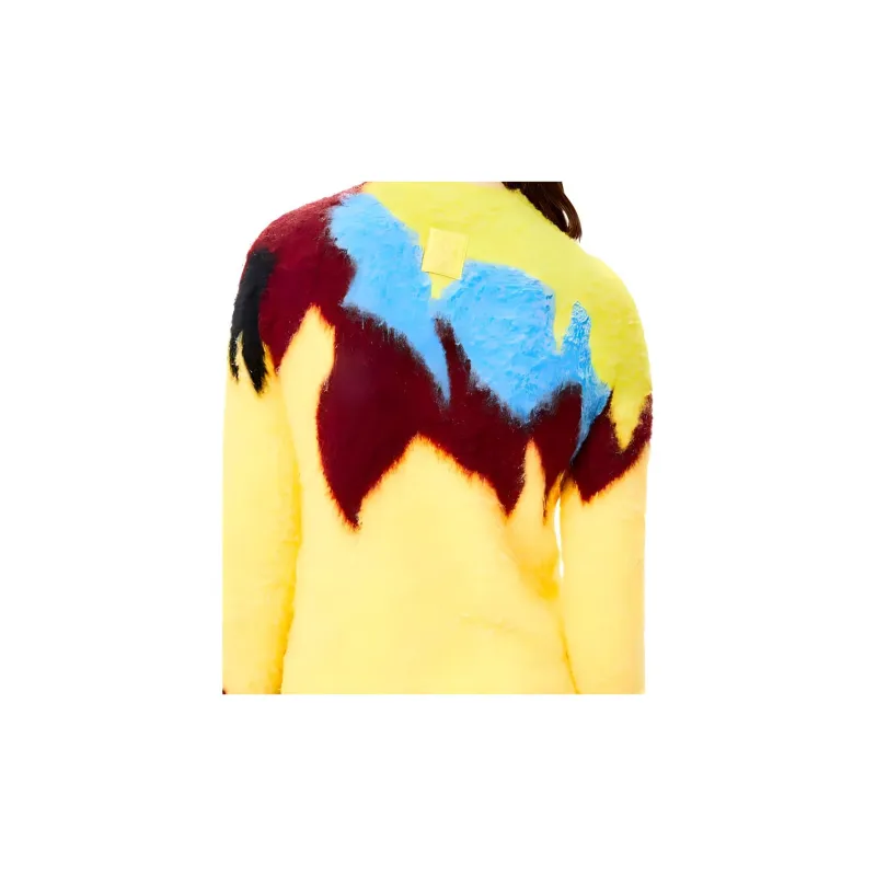 LOEWE FW21 Sweater Women's Yellow-6