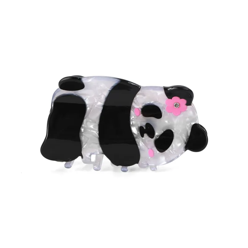 ZANC Acrylic Hair Clips Women's-1
