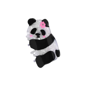 ZANC Acrylic Hair Clips Women's