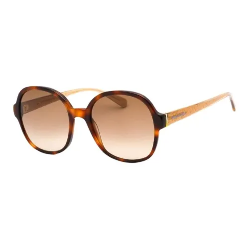 Tommy Hilfiger Plastic Oval Sunglasses Women's Brown