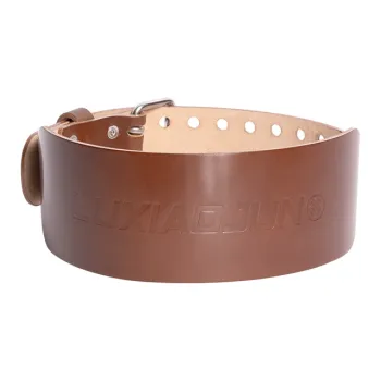 LUXIAOJUN Back Support Braces