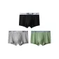 Model 02 Black+Light Gray+Fruit Green
