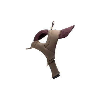 PLUG IN PET Clothing