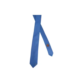 HERMES Ties Men