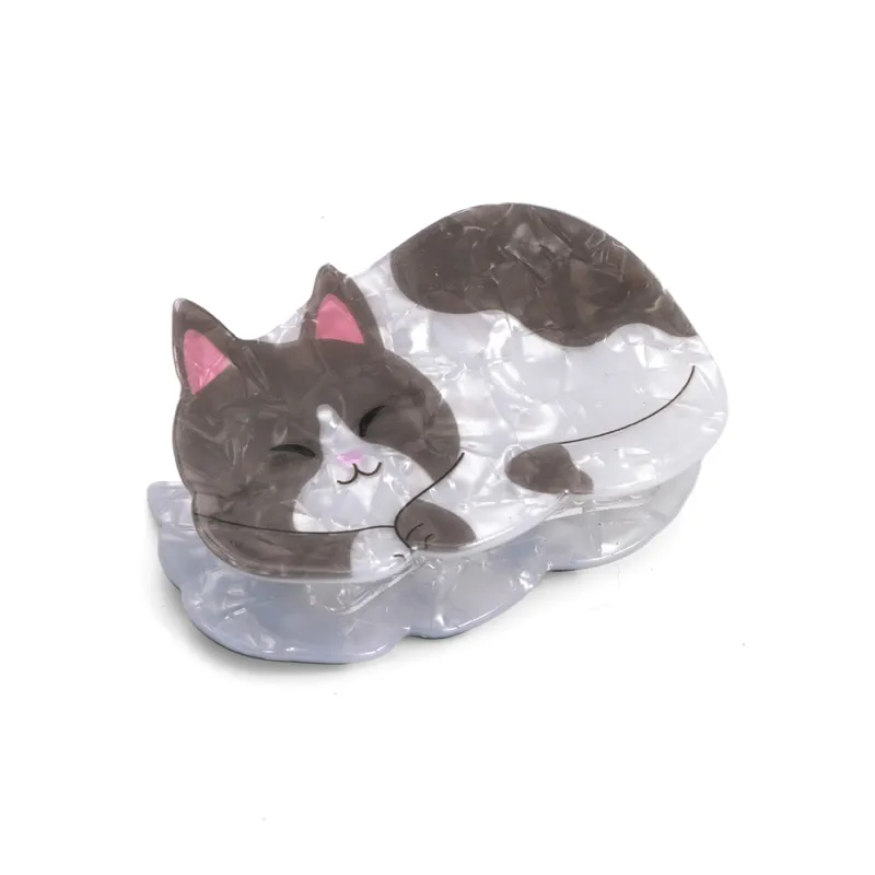ZANC Acrylic Hair Clips Women's-2