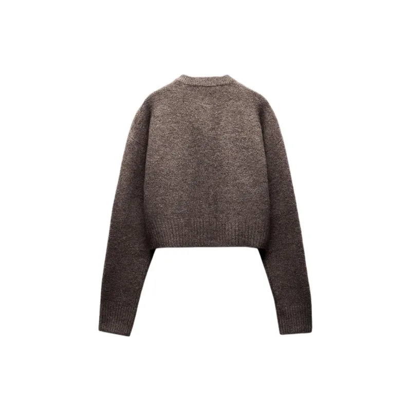 ZARA Sweater Women's Glitter Brown-1