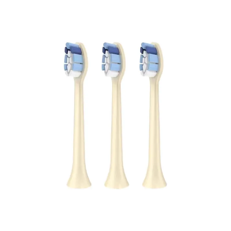Fly Toothbrush Heads-5