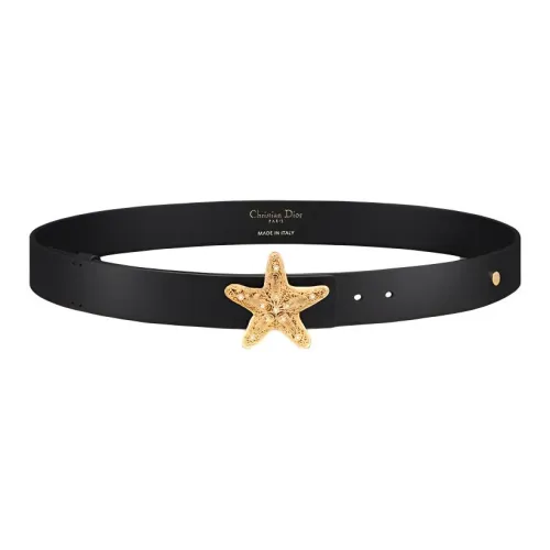 DIOR Cabinet Of Curiosities Belt