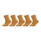 Ginger Yellow 5 Pack