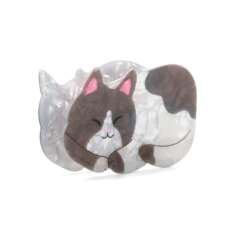 ZANC Acrylic Hair Clips Women's-1