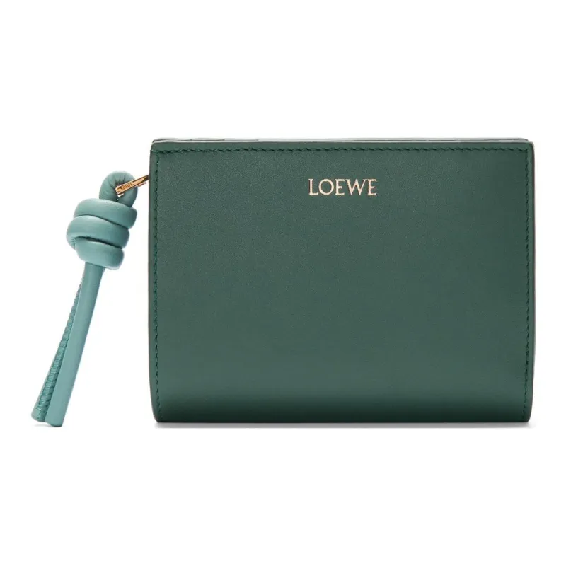 LOEWE Calfskin Wallet Women's Vetiver With Water-0