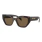 Tortoiseshell