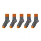 Gray with Double Stripes