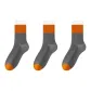 Gray with Double Stripes 3