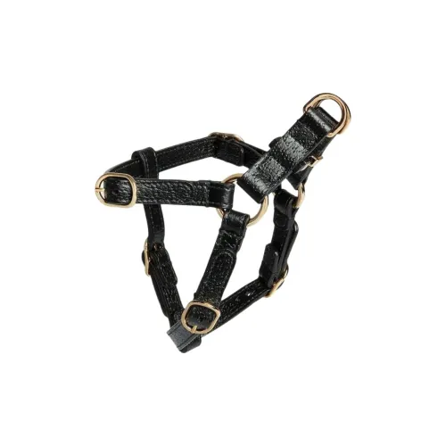 GUCCI Leashes