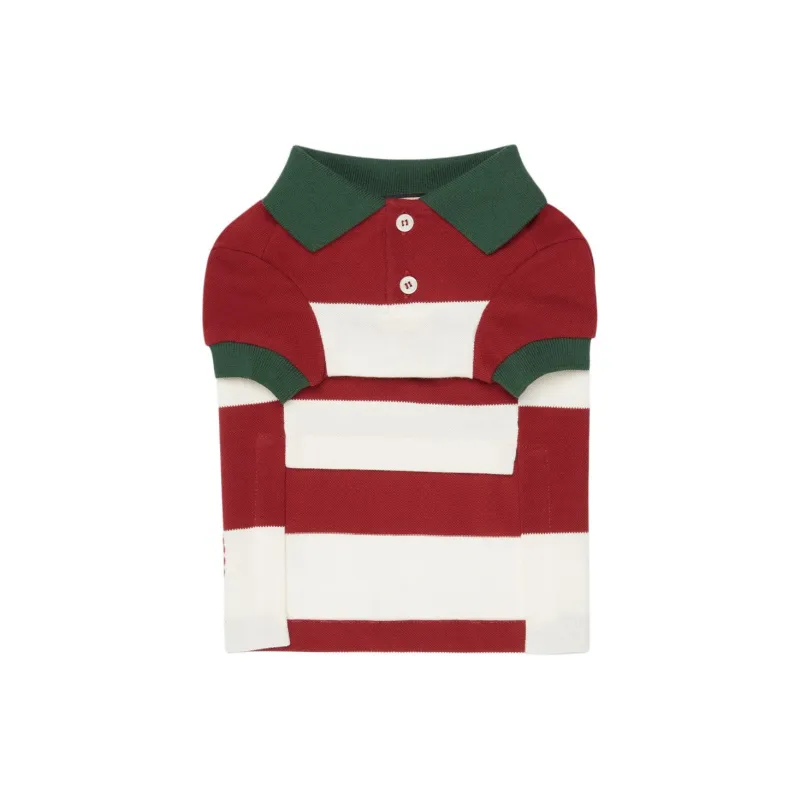 GUCCI Pet Clothing-2
