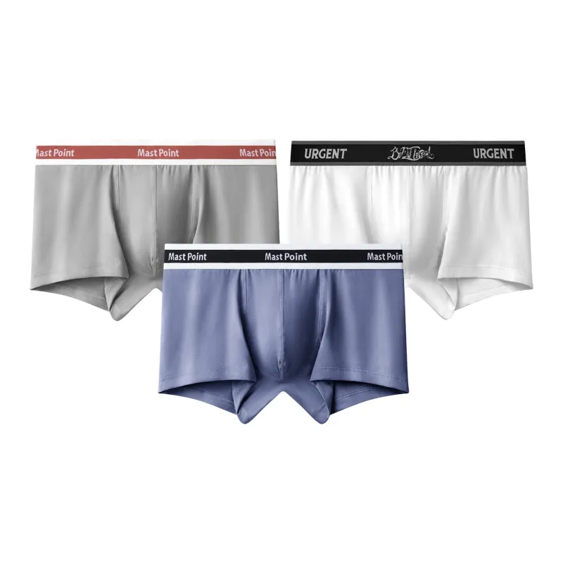 Mast Point Underpants Men's Box-47