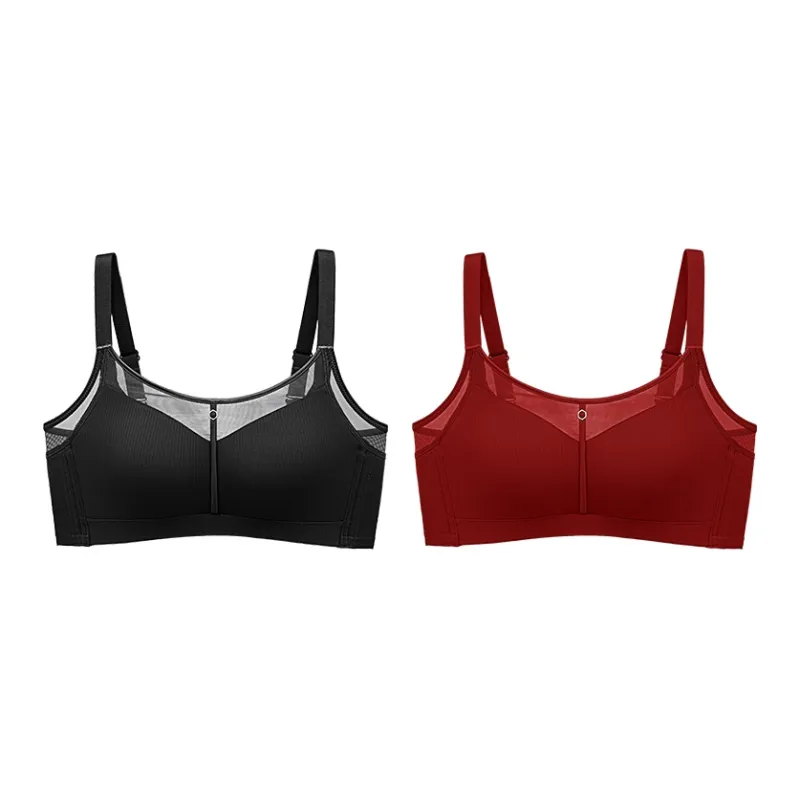 Lanza Women's Bras-13