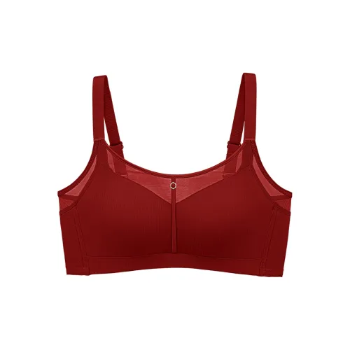 Lanza Women's Bras