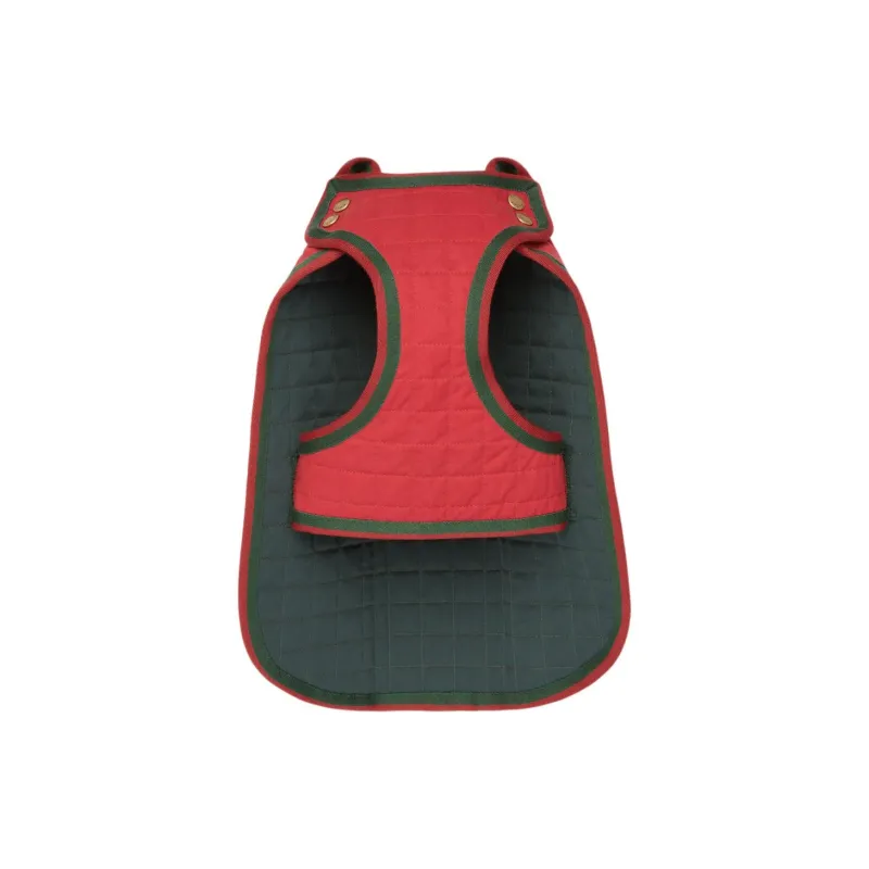 GUCCI Pet Clothing-2