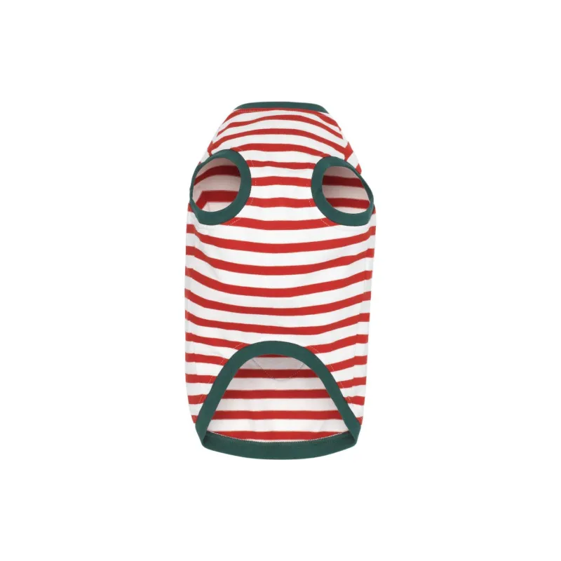 GUCCI Pet Clothing-2