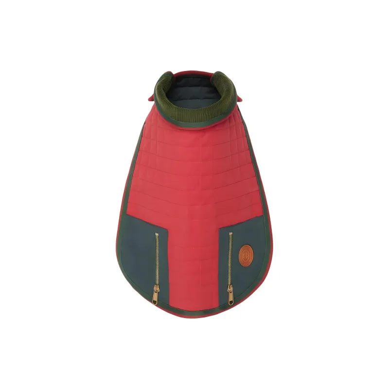 GUCCI Pet Clothing-1
