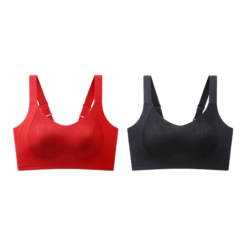 Lanza Women's Bras-13