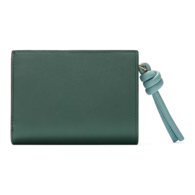 LOEWE Calfskin Wallet Women's Vetiver With Water-1