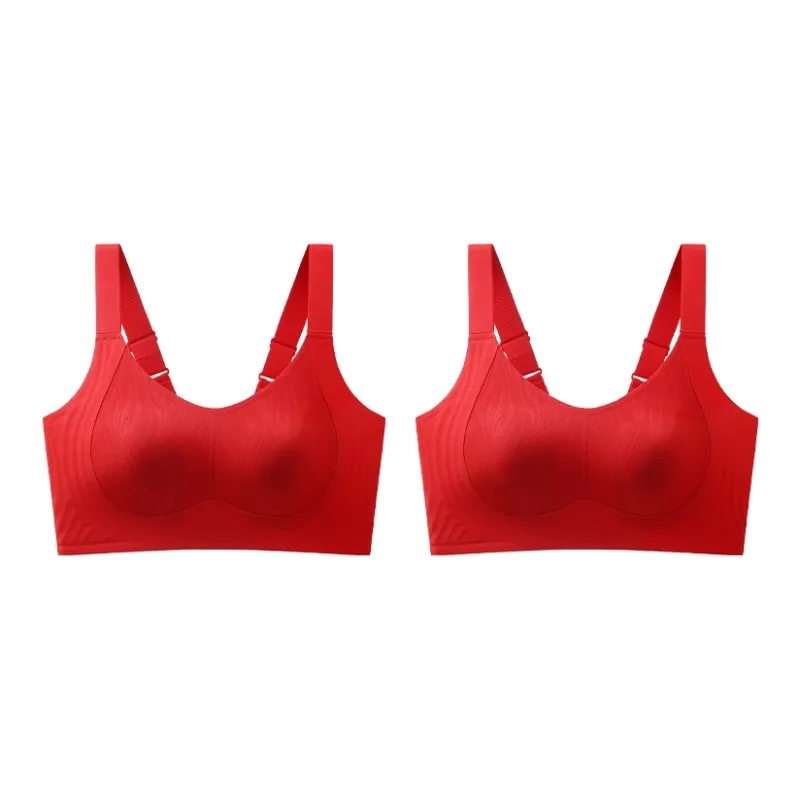 Lanza Women's Bras-12