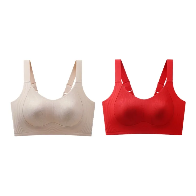 Lanza Women's Bras-15