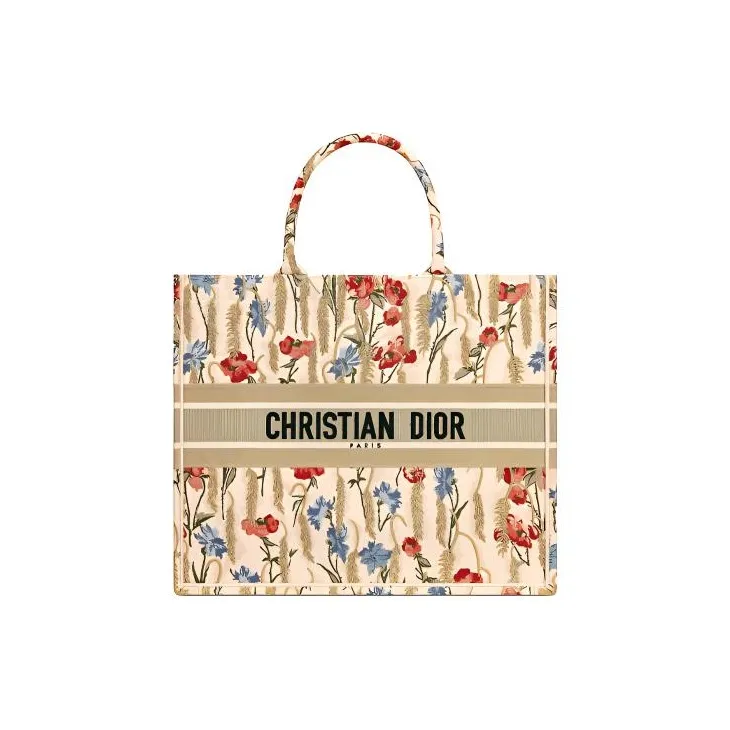 DIOR BookTote Handbags-0