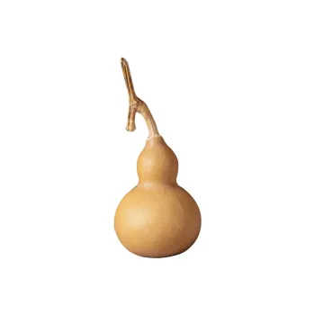 Jinghua Record Gourd Handlebar Piece Unisex