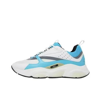 DIOR B22 Low Top Casual Shoes Men's White Blue