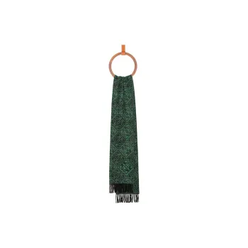 LOEWE Wool, Cashmere Knit Scarves Unisex Green