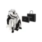 Black Gray Short Fringe