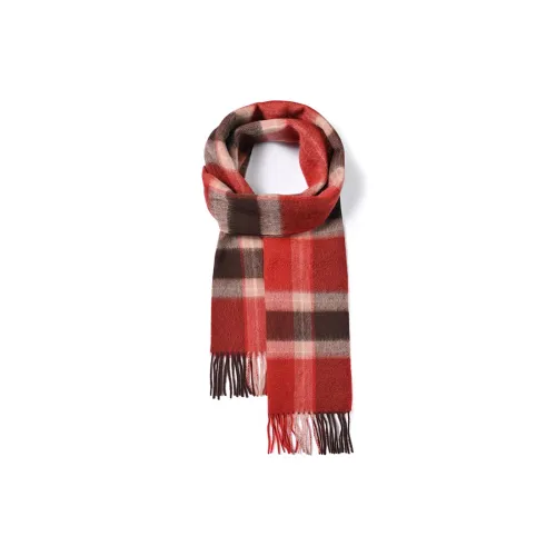 BANDICOOT Knit Scarves Unisex