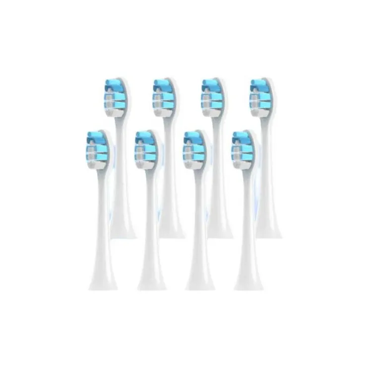 Fly Toothbrush Heads-4