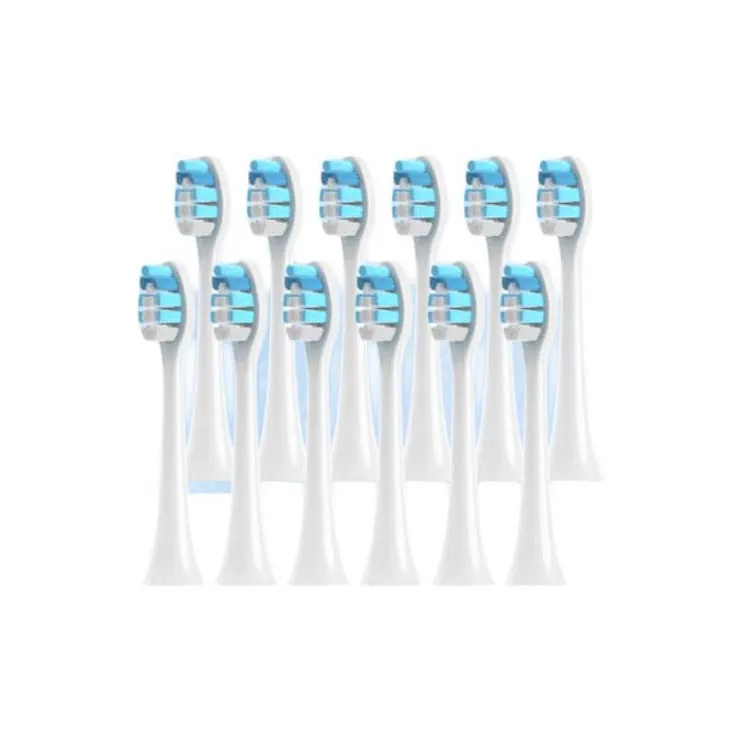 Fly Toothbrush Heads-5