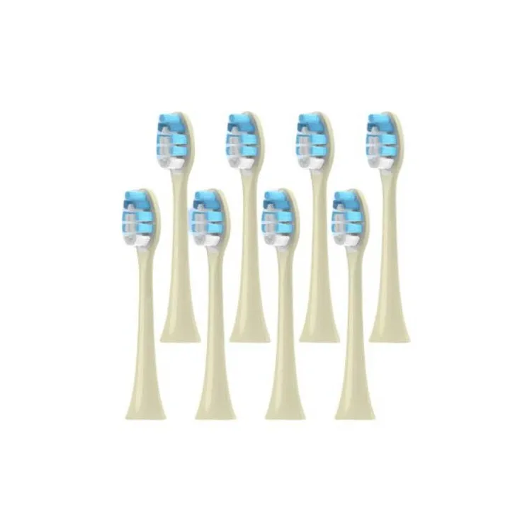 Fly Toothbrush Heads-7