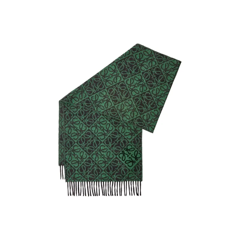 LOEWE Wool, Cashmere Knit Scarves Unisex Green-1