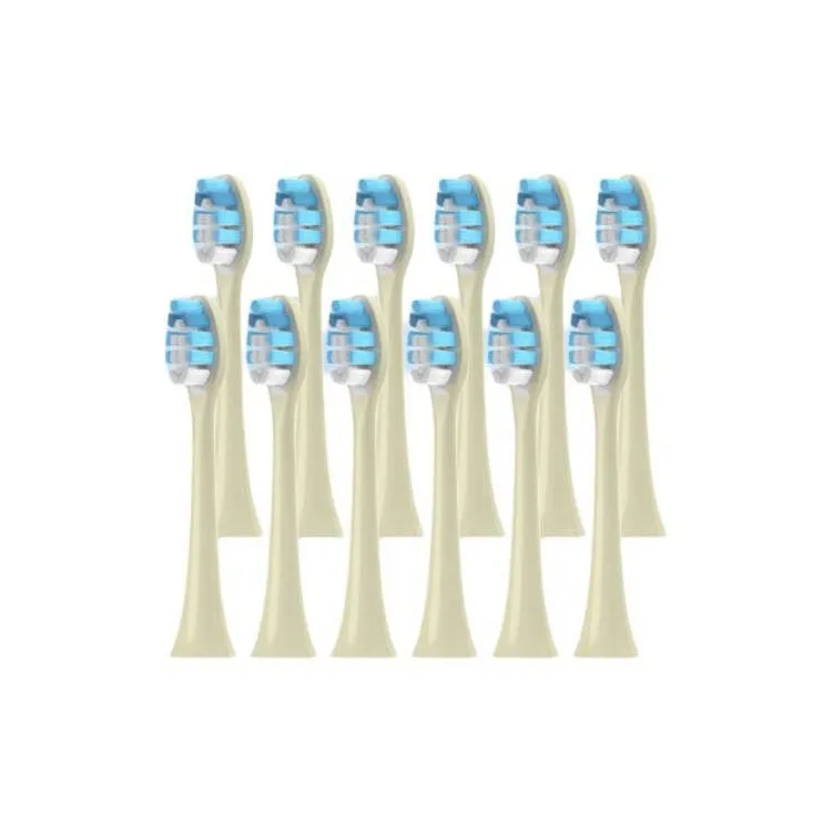 Fly Toothbrush Heads-8