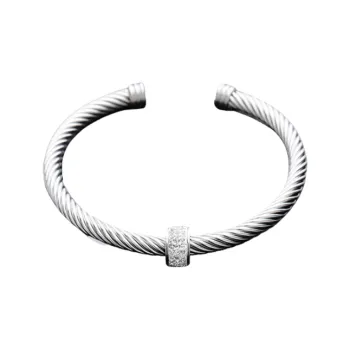 BKBU Titanium Steel Bangles Unisex