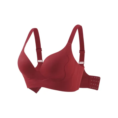 Lanza Women's Bras