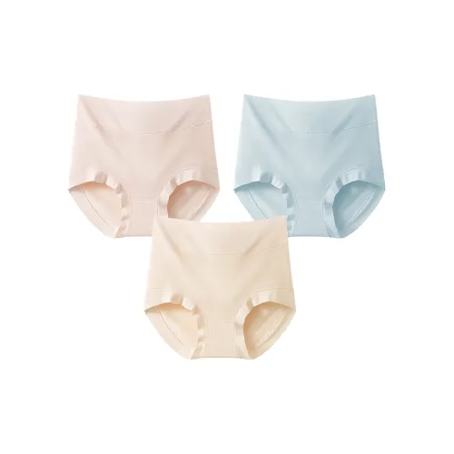 Mushroom Lady's House Underpants Women's 3 Pack
