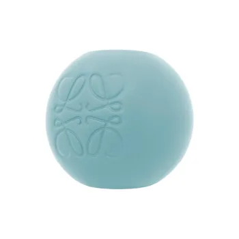 LOEWE Enamel Accessories Unisex Blue