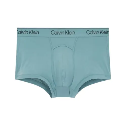 calvin Rot KLEIN Underpants Men's 1 Pack Ice Green