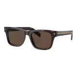 Tortoiseshell