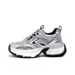 Gray/Silver