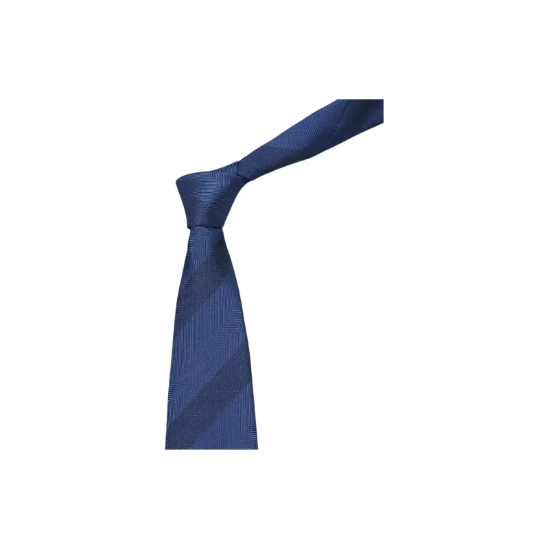 GOLDLION Polyester Ties Men's Blue-3