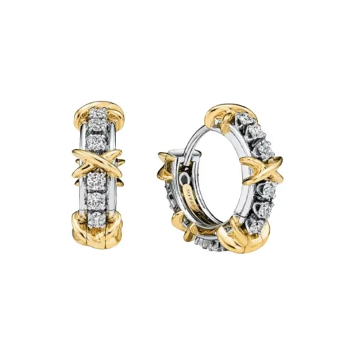 TIFFANY & CO. 950 Platinum Earrings Women's Silver